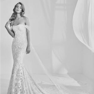 Pronovias Rani Wedding Dress